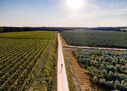 Itinéraire vélo à Uzès : notre guide pour une balade inoubliable