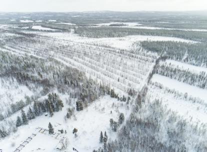Laponie en hiver
