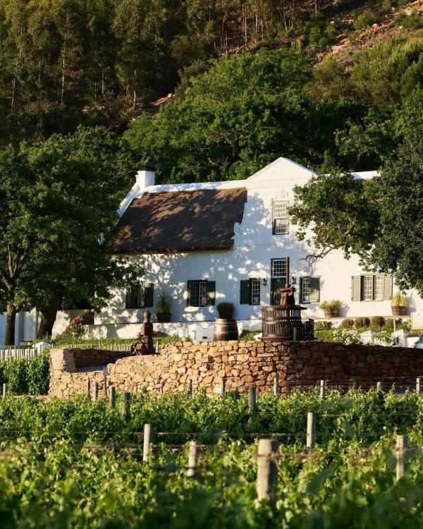 @ricketybridgewines sur Ig